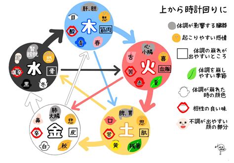 五行理論|五行思想